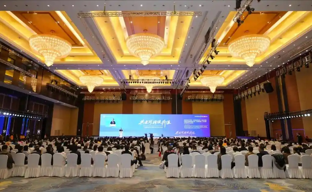 1764123779698641.jpg 11.jpg