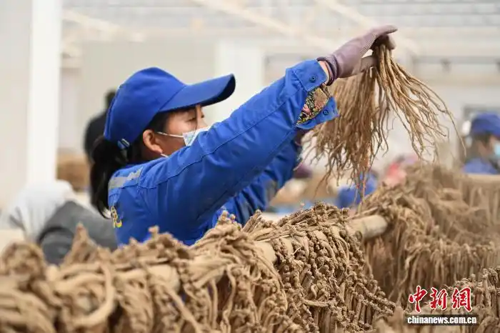 1767055797868643.jpg 11.jpg