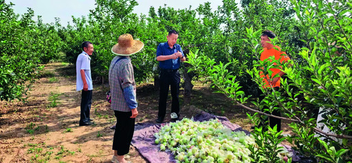 1767142035952657.jpg 55.jpg