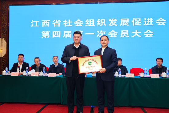 1773618700671141.jpg 11.jpg