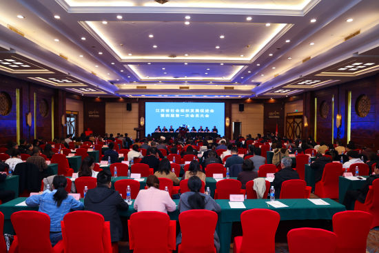 1773618718485400.jpg 33.jpg