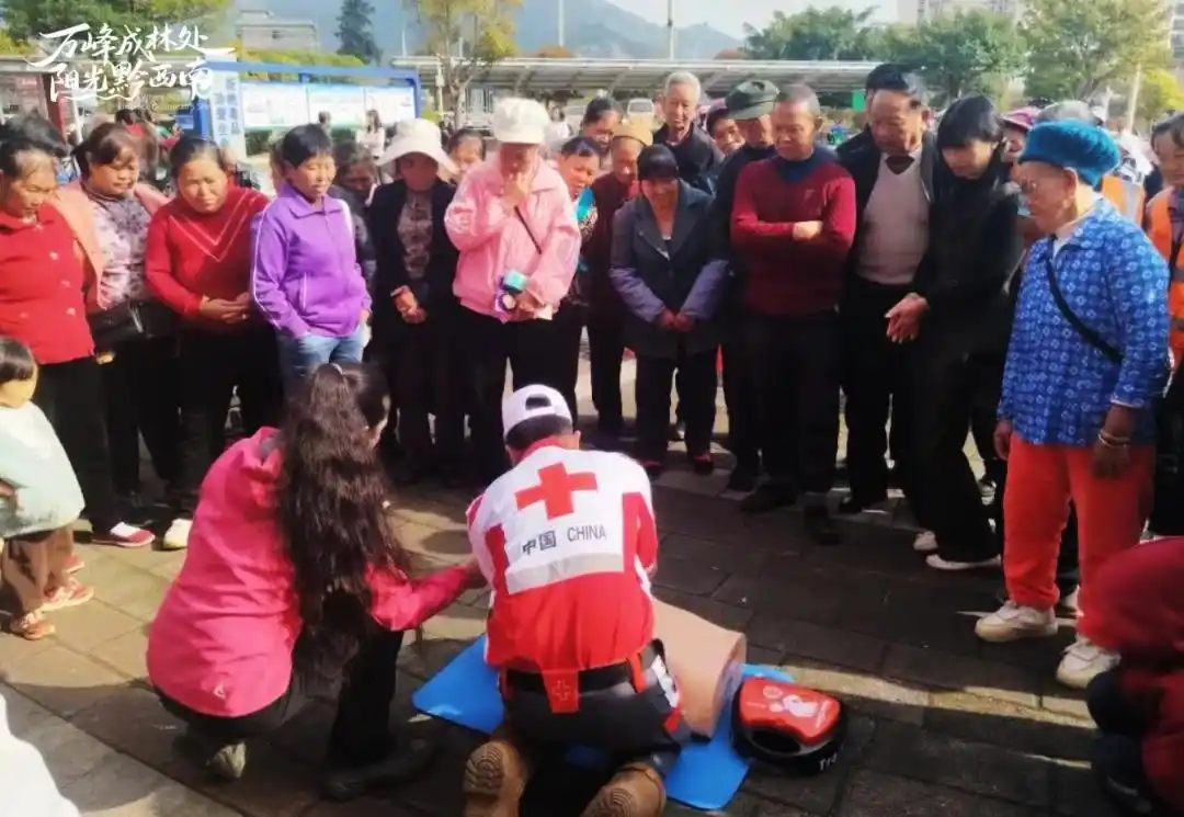 1773969286394729.jpg 11.jpg